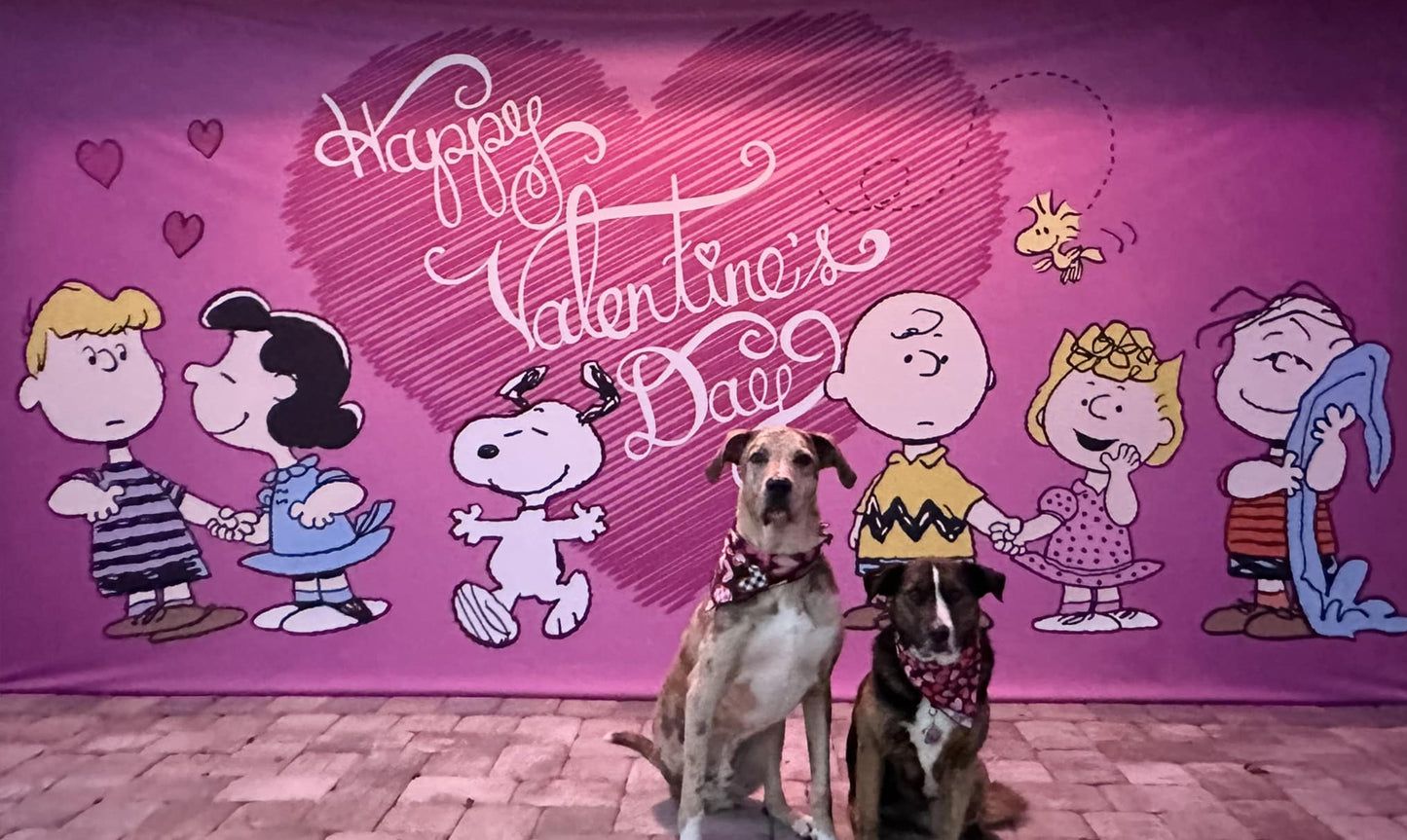 Unrequited Valentine | Peanuts® Garage Door Cover