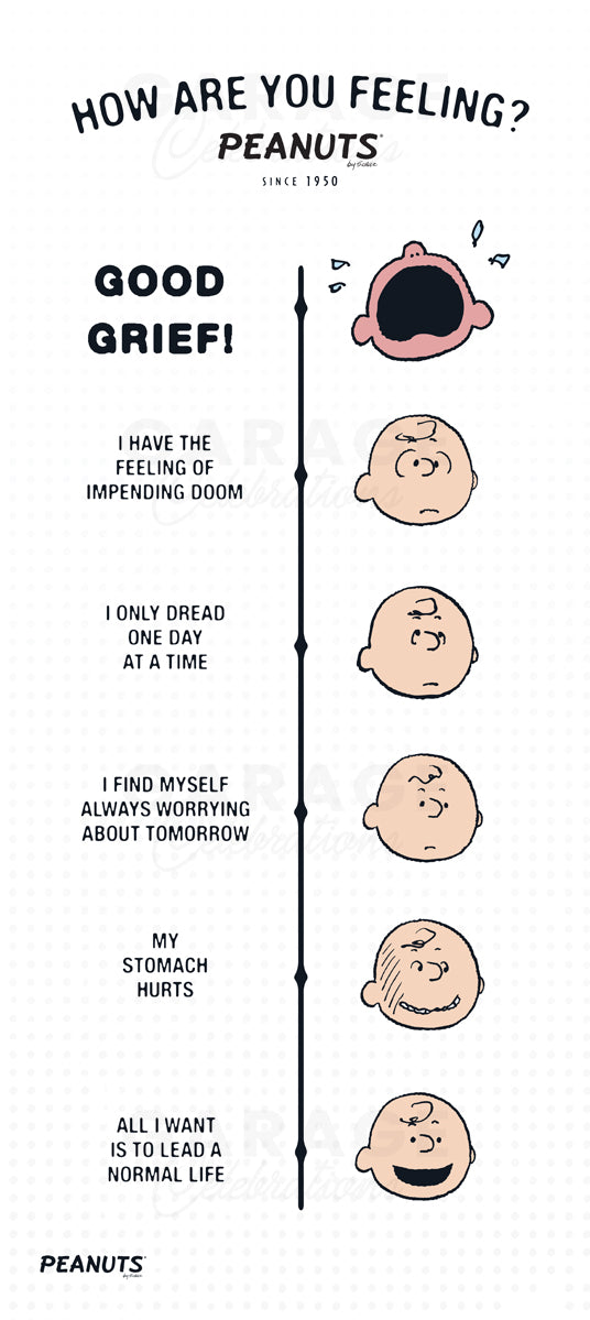 Comic strip from 'Peanuts' with a scale of emotional states and corresponding Charlie Brown expressions.