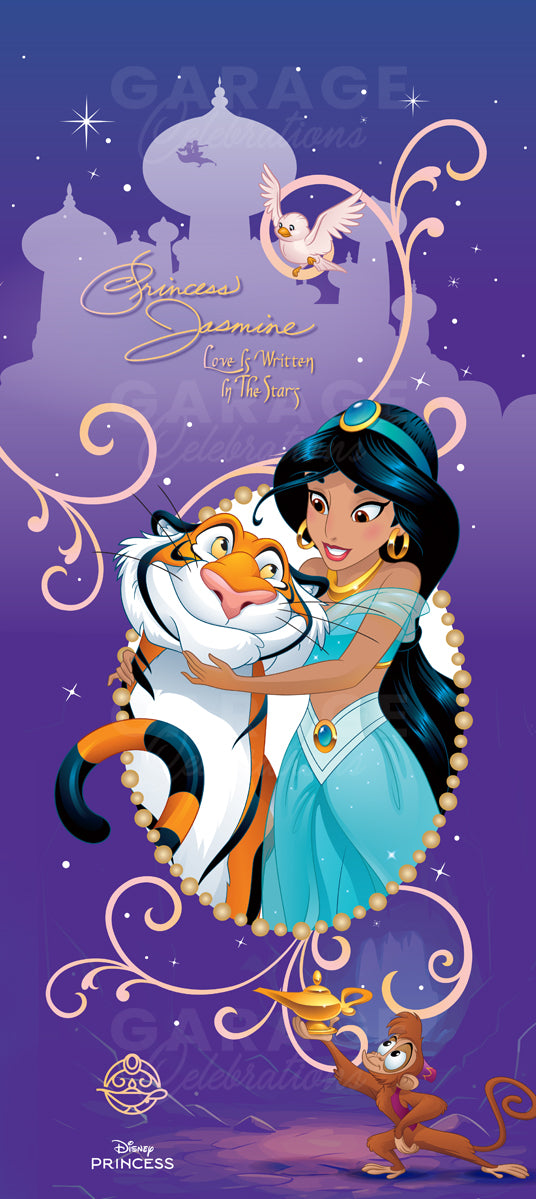 Jasmine and Aladdin with Abu on a purple background with Disney Princess logo.